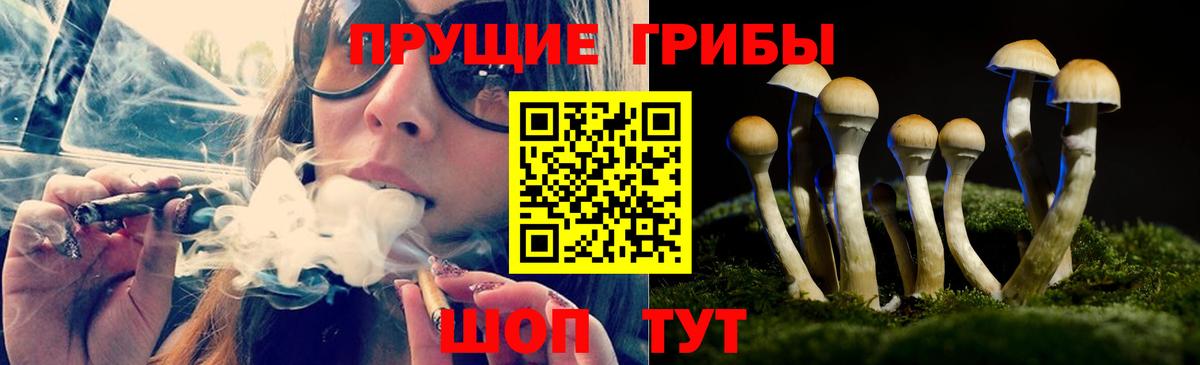 Псилоцибиновые грибы ЛСД  Псилоцибиновые грибы Cubensis  Вход с VPN  Миллерово 